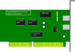 Network Card