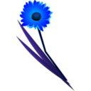 download Flowers Gerbera clipart image with 180 hue color