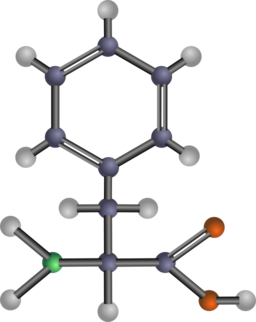 Phenylalanine Amino Acid
