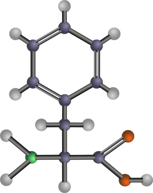 Phenylalanine Amino Acid