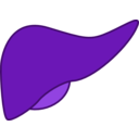 download Liver clipart image with 270 hue color