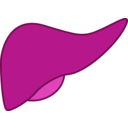 download Liver clipart image with 315 hue color