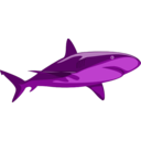 download Shark Pure clipart image with 90 hue color