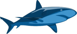 Shark Pure