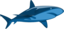 Shark Pure