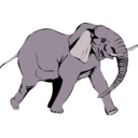 Architetto Elefante In Corsa