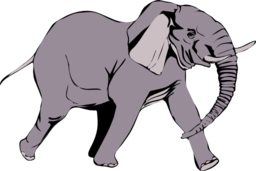 Architetto Elefante In Corsa