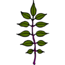 download Ash Leaves clipart image with 270 hue color