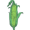 download Ear Of Corn Colored clipart image with 45 hue color