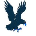 download Aguila clipart image with 180 hue color