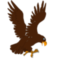 Aguila