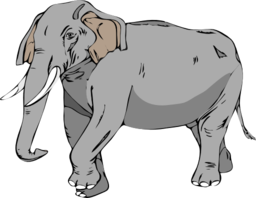 Architetto Elefante 02