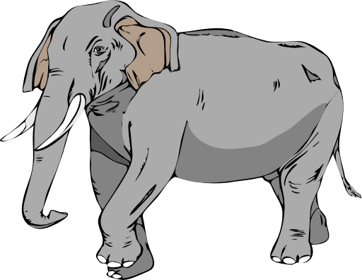 Architetto Elefante 02