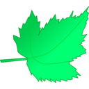 download Leaf 2 clipart image with 135 hue color