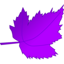 download Leaf 2 clipart image with 270 hue color