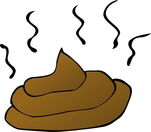 Feces