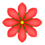 Red Flower
