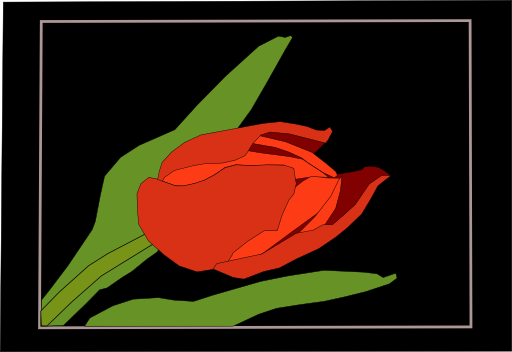 Tulip3