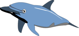 Dolphin Enrique Meza C 01