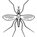 download Mosquito clipart image with 90 hue color