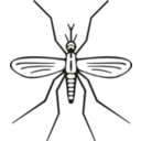 download Mosquito clipart image with 135 hue color