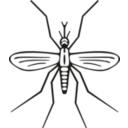 download Mosquito clipart image with 180 hue color