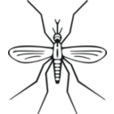 download Mosquito clipart image with 270 hue color