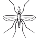 download Mosquito clipart image with 0 hue color