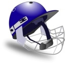 download Cricket Helmet By Netalloy clipart image with 45 hue color