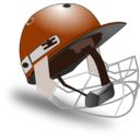 download Cricket Helmet By Netalloy clipart image with 180 hue color