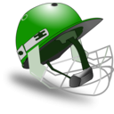 download Cricket Helmet By Netalloy clipart image with 270 hue color