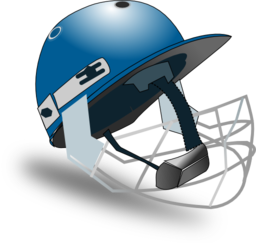 Cricket Helmet By Netalloy