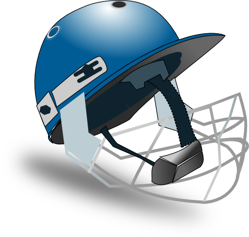 Cricket Helmet By Netalloy