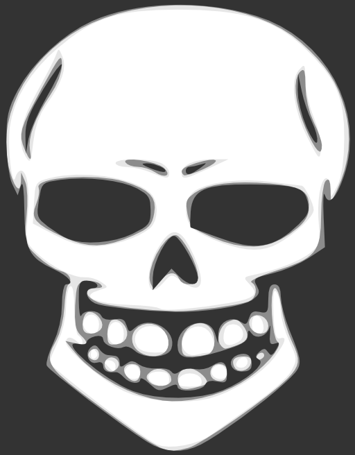 Skull Human X Ray
