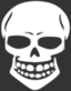 Skull Human X Ray