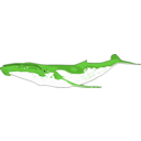 download Humpback Whale clipart image with 270 hue color