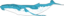 Humpback Whale