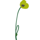 download Papaver clipart image with 45 hue color