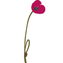 download Papaver clipart image with 315 hue color