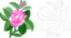 Design For Damask Rose