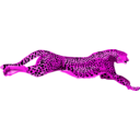 download Leopard Cheetah clipart image with 270 hue color
