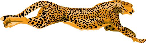 Leopard Cheetah