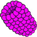 download Red Raspberry clipart image with 315 hue color