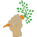 Hand Holding Carrot