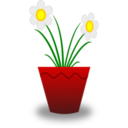 Flower Pot