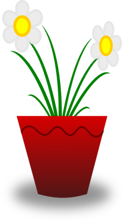 Flower Pot