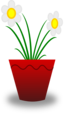 Flower Pot