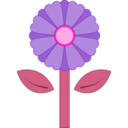 download Pink Flower clipart image with 270 hue color