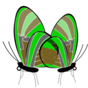 download Butterflies clipart image with 45 hue color