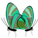 download Butterflies clipart image with 90 hue color